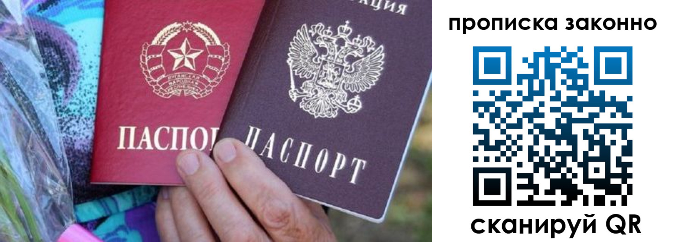 найти адрес прописки в Мончегорске